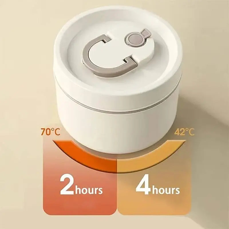 Insulated Stainless Steel Lunch Box Set