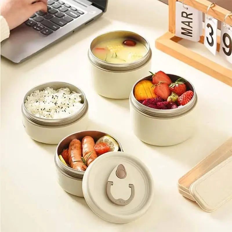 Insulated Stainless Steel Lunch Box Set